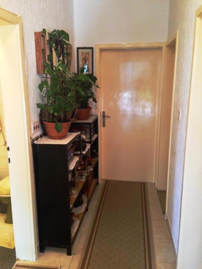 Guest House Ruza Ντουμπρόβνικ Εξωτερικό φωτογραφία